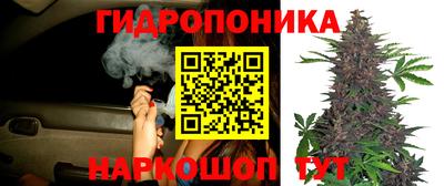 a pvp Будённовск