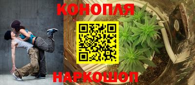 ПСИЛОЦИБИНОВЫЕ ГРИБЫ Бийск