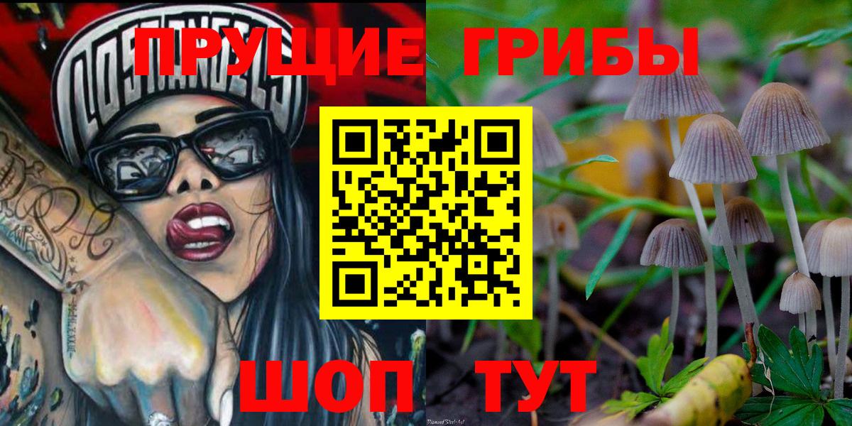 Гагарин  Галлюциногенные грибы GOLDEN TEACHER  Вход с VPN 